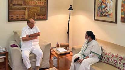 राष्ट्रपति चुनाव को लेकर एनसीपी प्रमुख शरद पवार से चर्चा करतीं ममता बनर्जी।