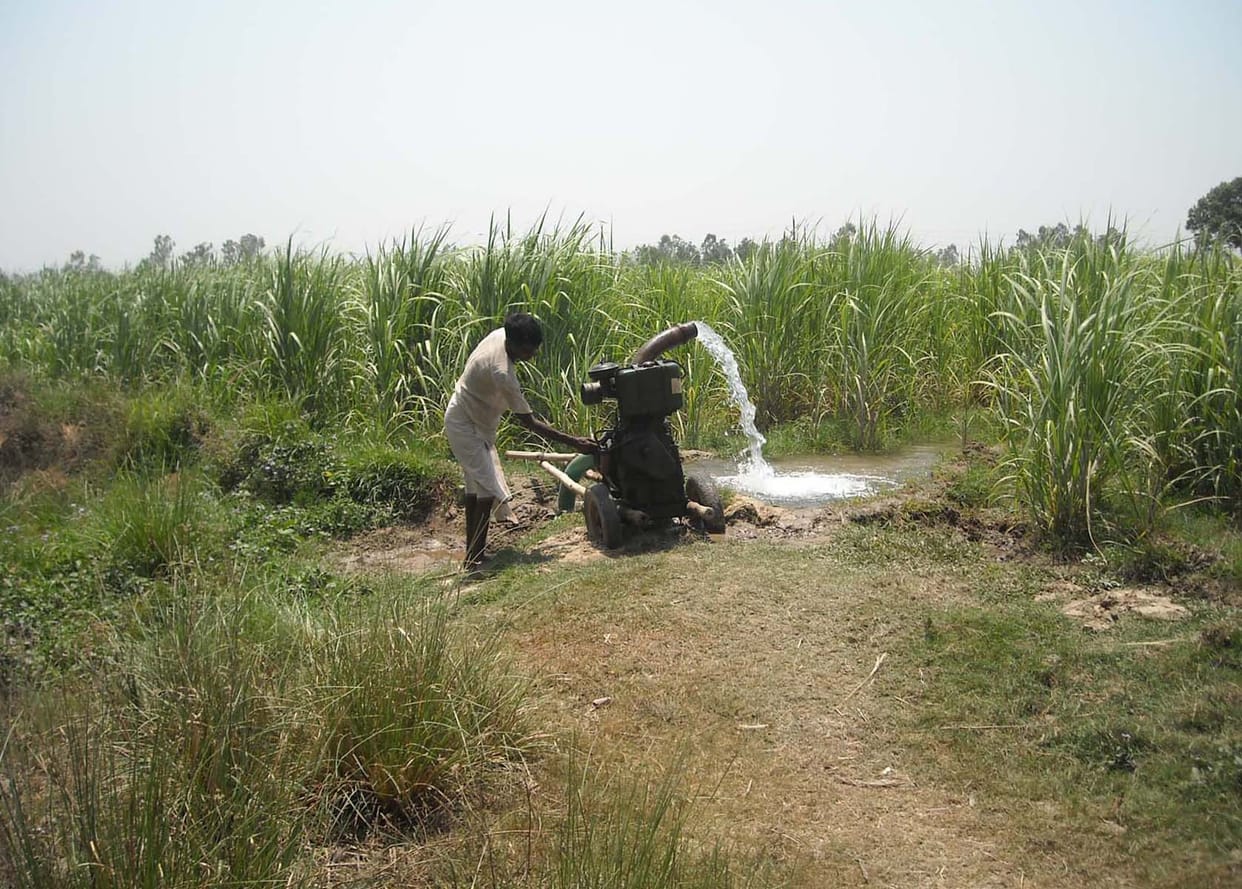 Due to the lack of pre-monsoon rain, the huge cost of planting paddy