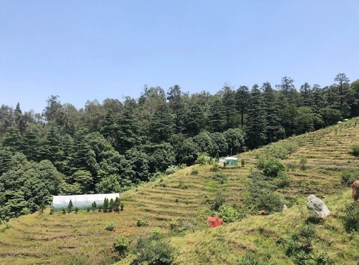 No Shifting of Horticulture Directorate
