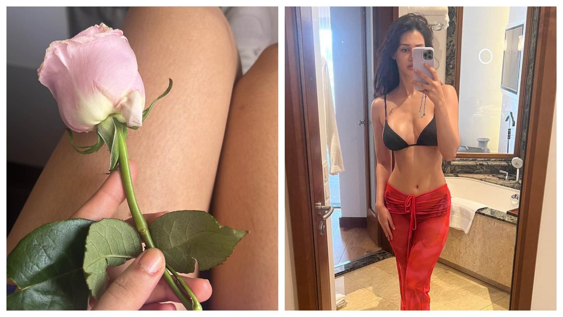 Bollywood Actress Disha Patani Latest Bold Photos Goes Viral on Social Media News in Hindi