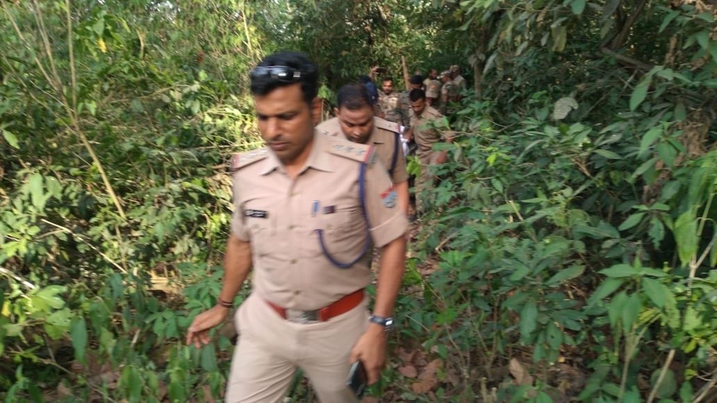Tiger laborer swoops down in Corbett, dies