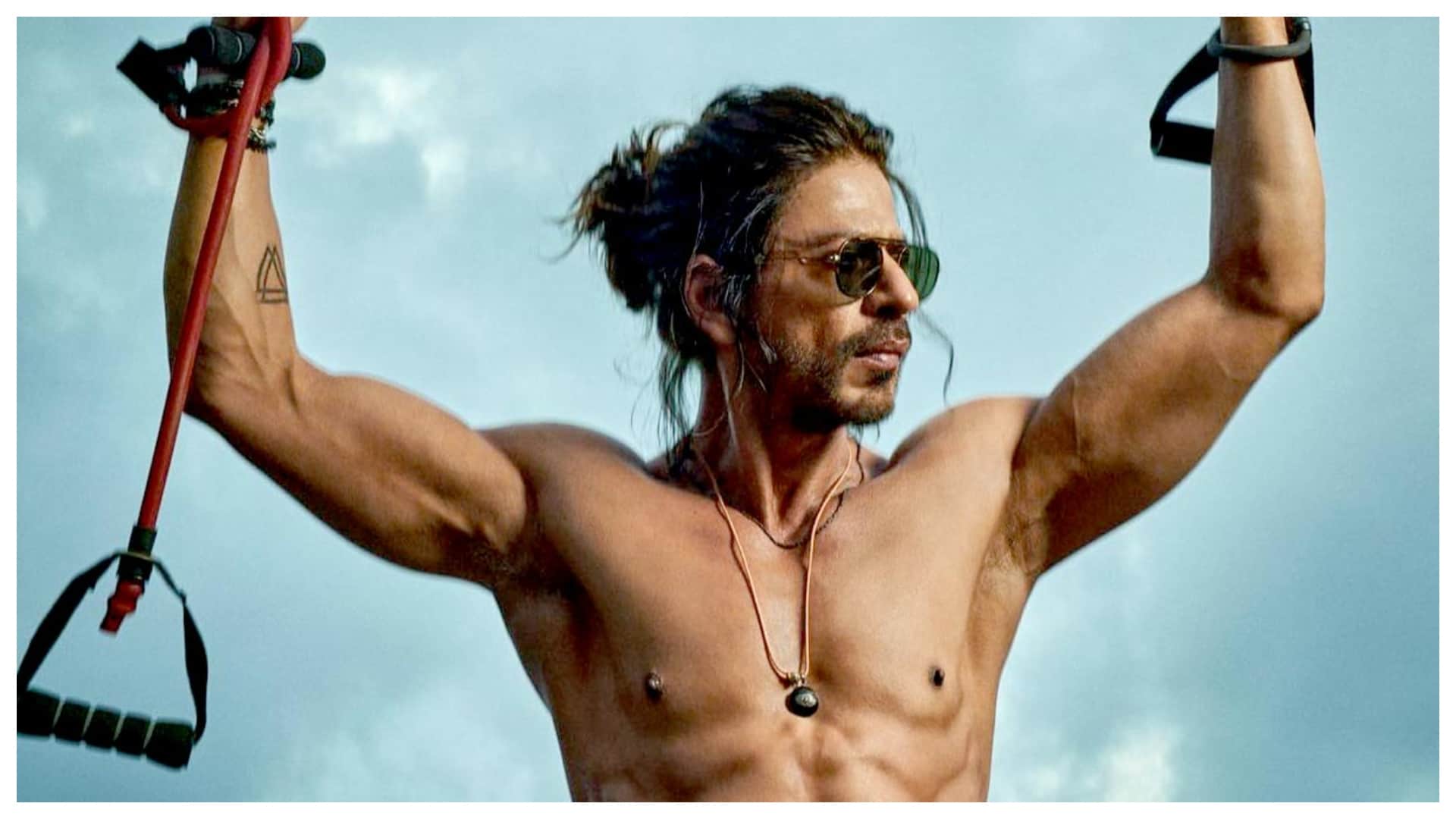Bollywood Stars Making A Comeback After Four Years From Shah Rukh Khan To Ranbir Kapoor News In Hindi