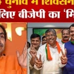 बीजेपी