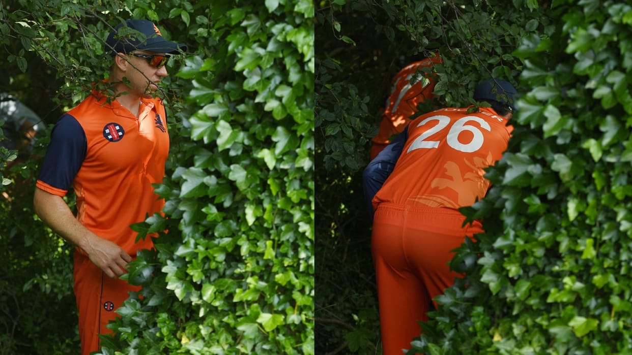 ball lost in bushes in ENG vs NED Match after david malan hit six video of players searching for ball went viral