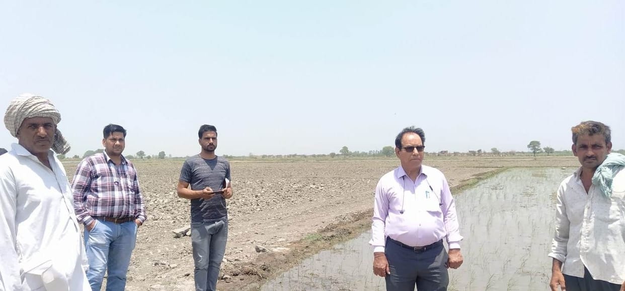 Action on three farmers for planting paddy before June 15, fined 13 thousand