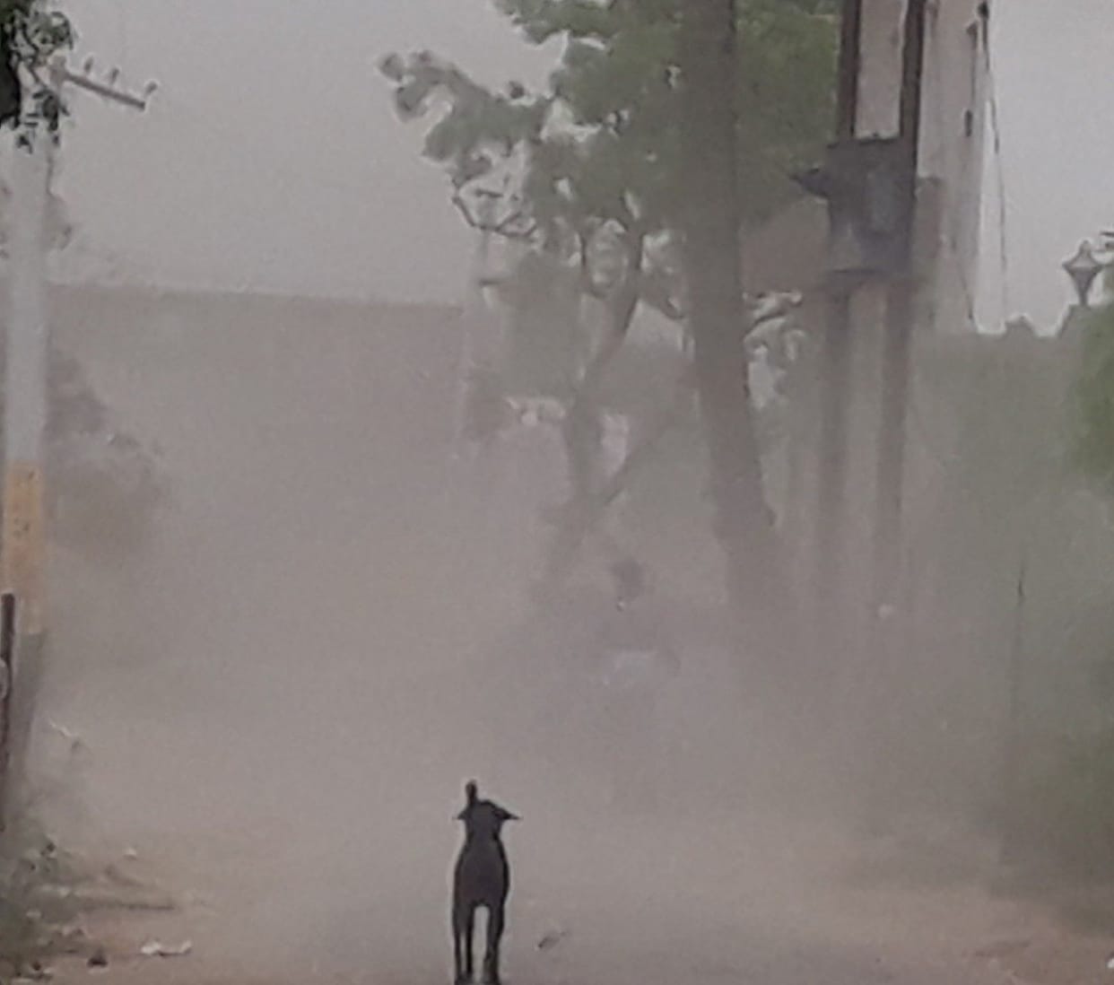 Hathras: Unaccounted for power cut, snatched away, bad things going on