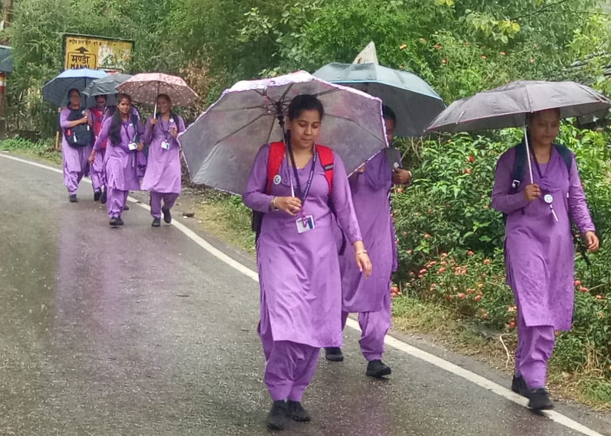 Farmers engaged in sowing paddy, maize in Dharampur