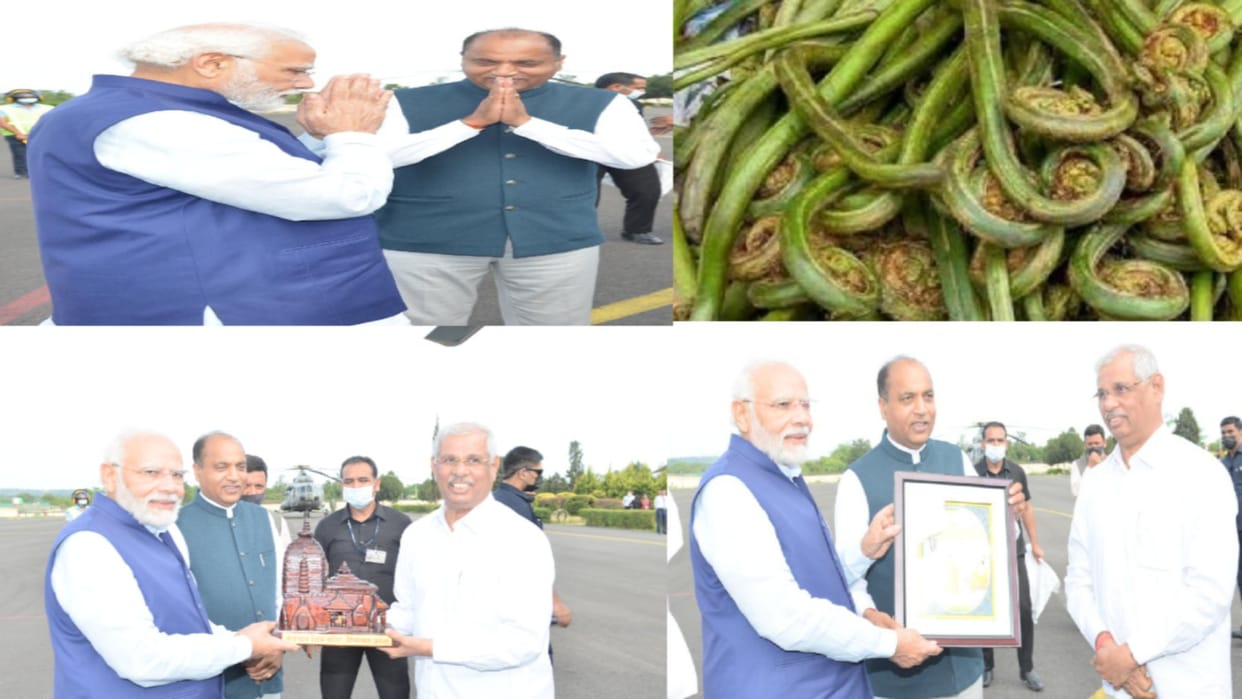 PM Modi praises Himachali vegetable lingu, posed for photos with employees