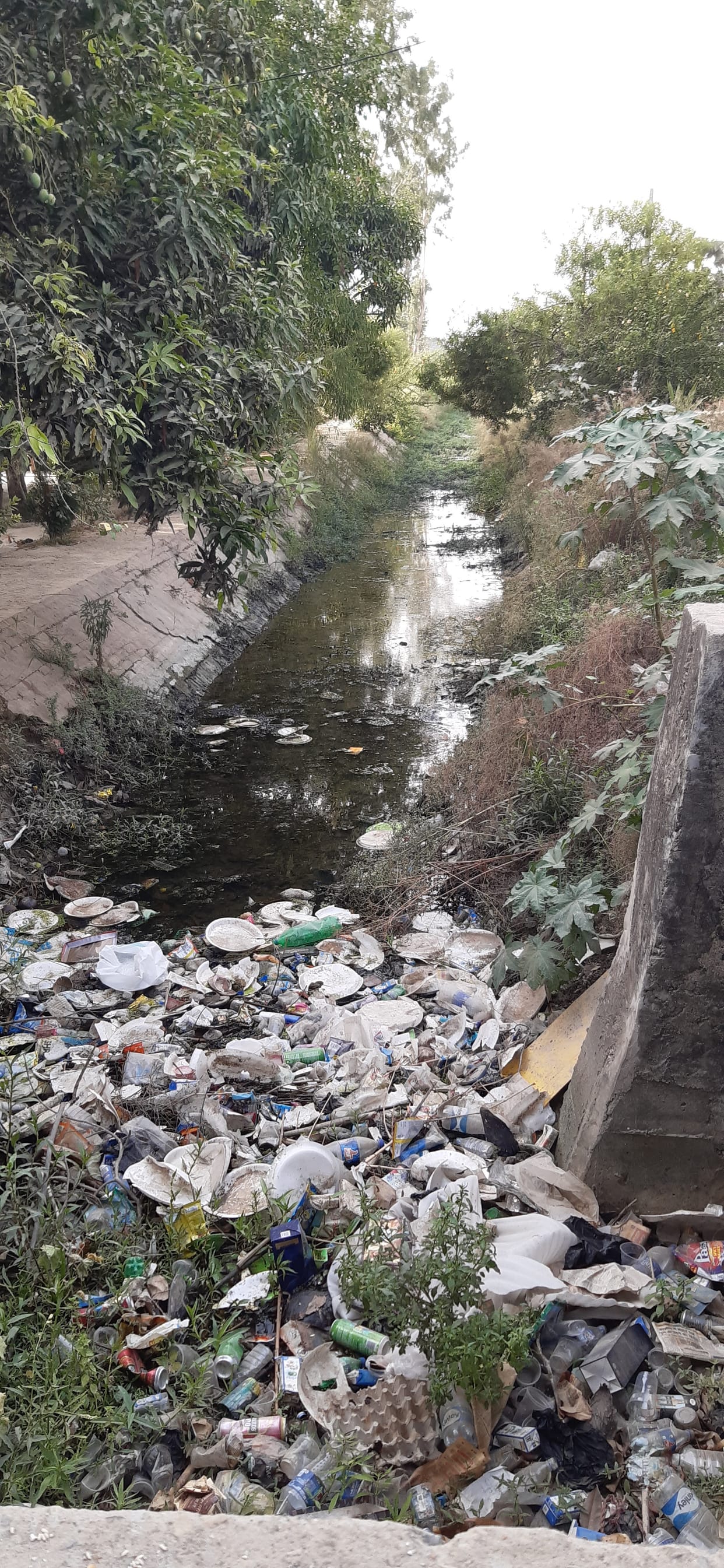 Public representatives careless about pump canal
