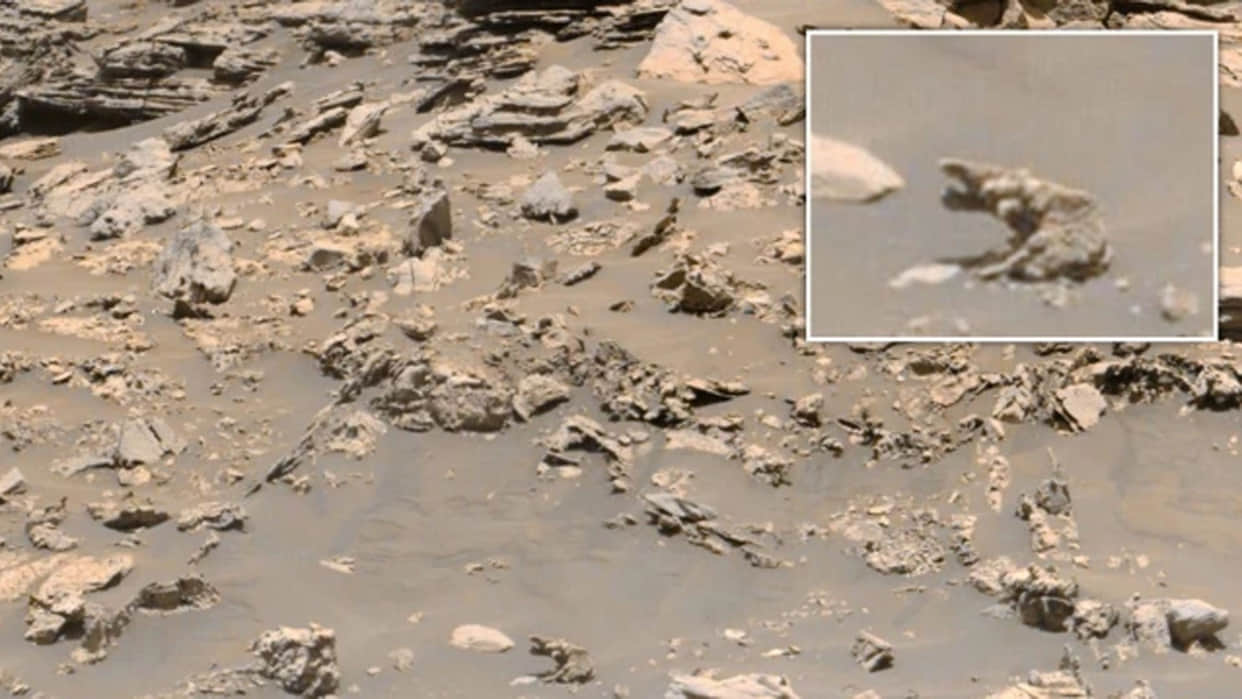 Life on Mars Alien Researcher Scott Waring Claims Trunk Animal Like Elephant Lives On Mars News in Hindi