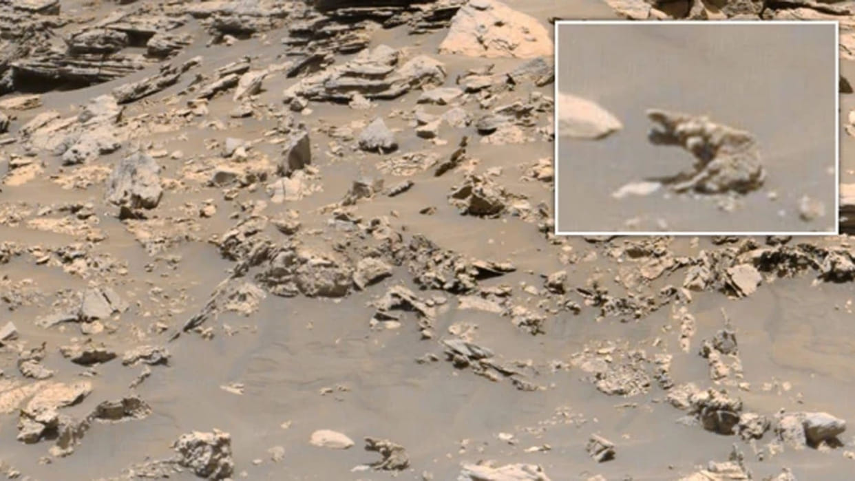 Life on Mars Alien Researcher Scott Waring Claims Trunk Animal Like Elephant Lives On Mars News in Hindi