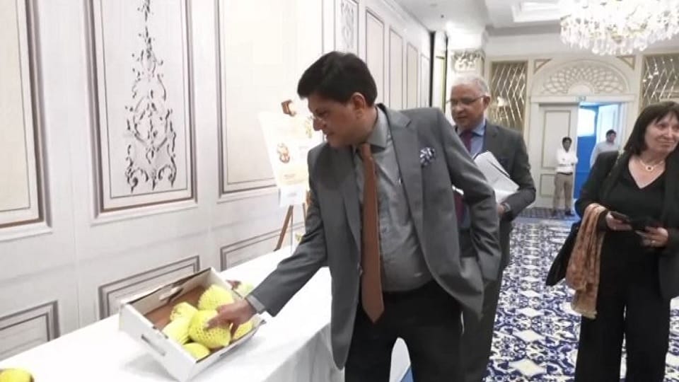Piyush Goyal Inaugurate Mango Festival and Promotes Indian Mangoes in Europe News in Hindi