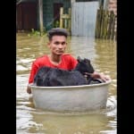 Assam Flood