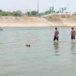 लापता युवक की तलाश करते गोताखोर