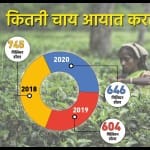 पाकिस्तान में चाय
