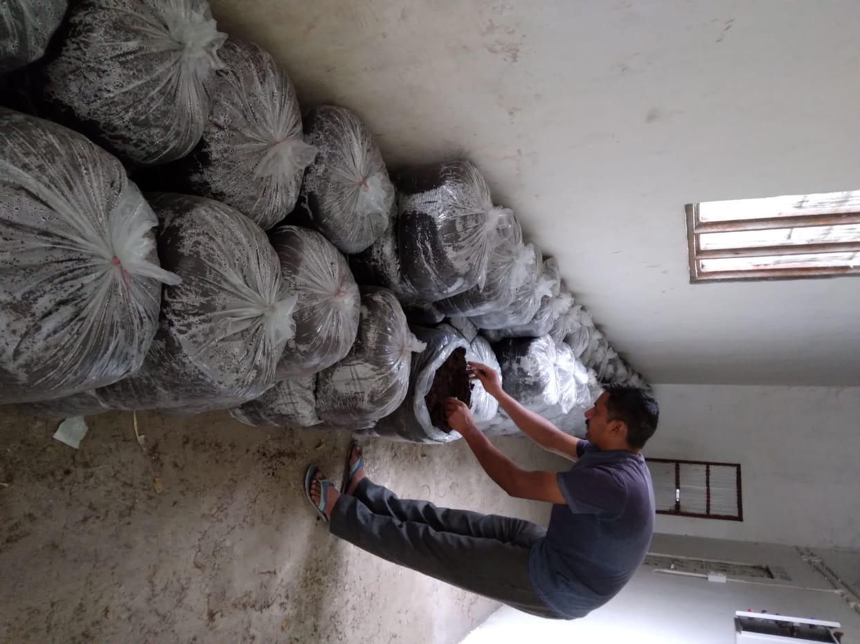 Farmer Ravindra showed the youth the path of self-employment