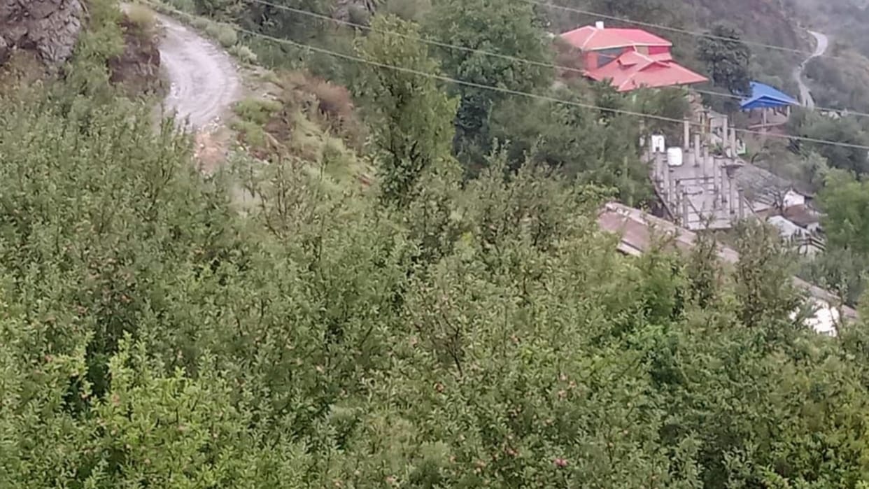 Himachal Weather Update apple crop damaged in rampur due to heavy rain