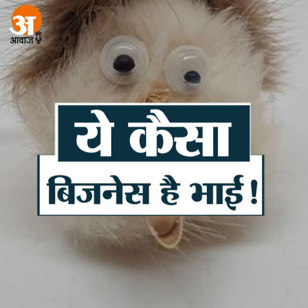 Man makes car ornaments out of the dead animals