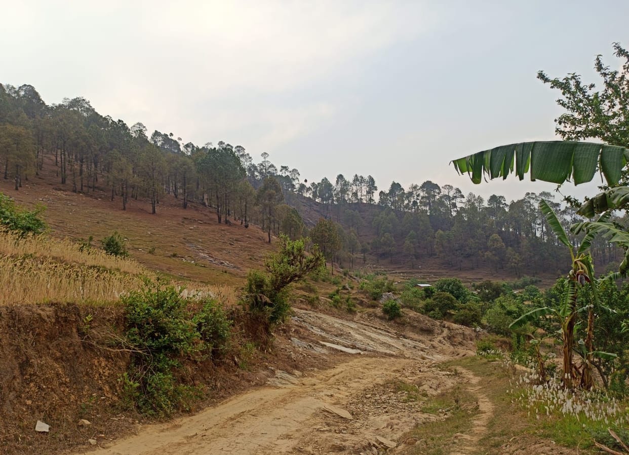 Hot Mix Demand At Road