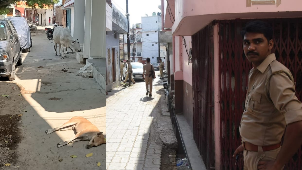 Dead body of five dogs found in Aliganj Lucknow.