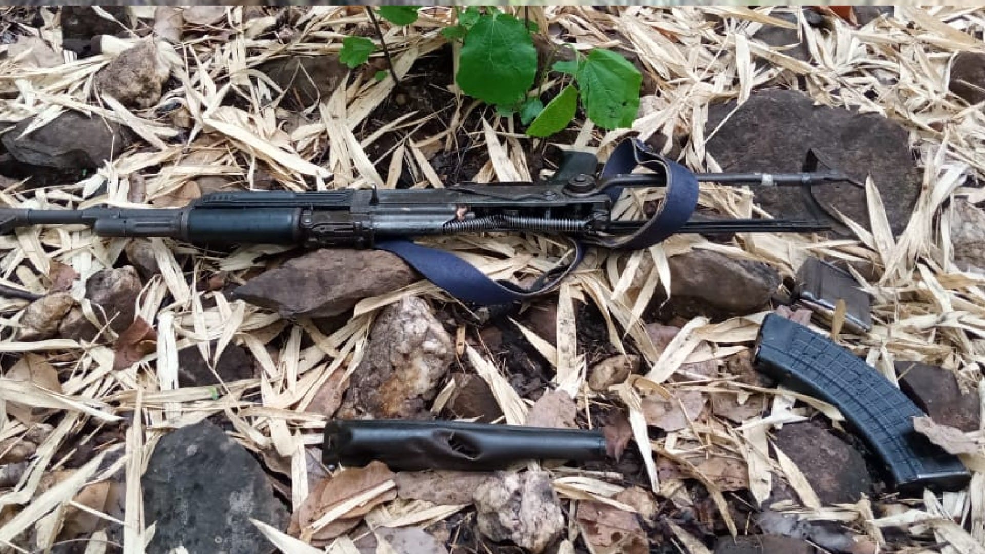 Balaghat News: Three Naxalites killed in encounter, Hawk force entered the forest and killed them
