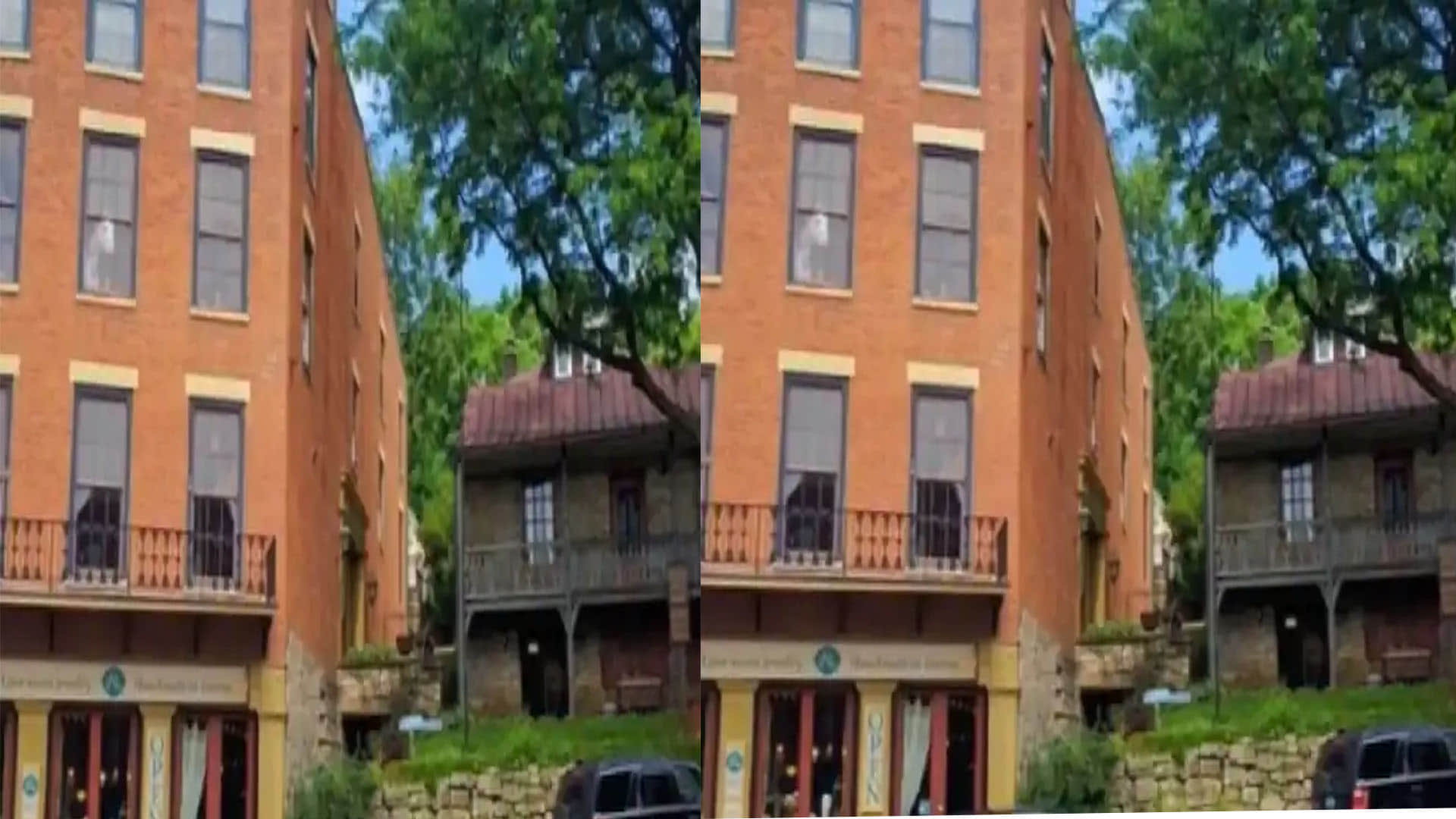 Optical Illusion did you see the horse in this picture brainstorming photo brain teasers hidden animal google trends