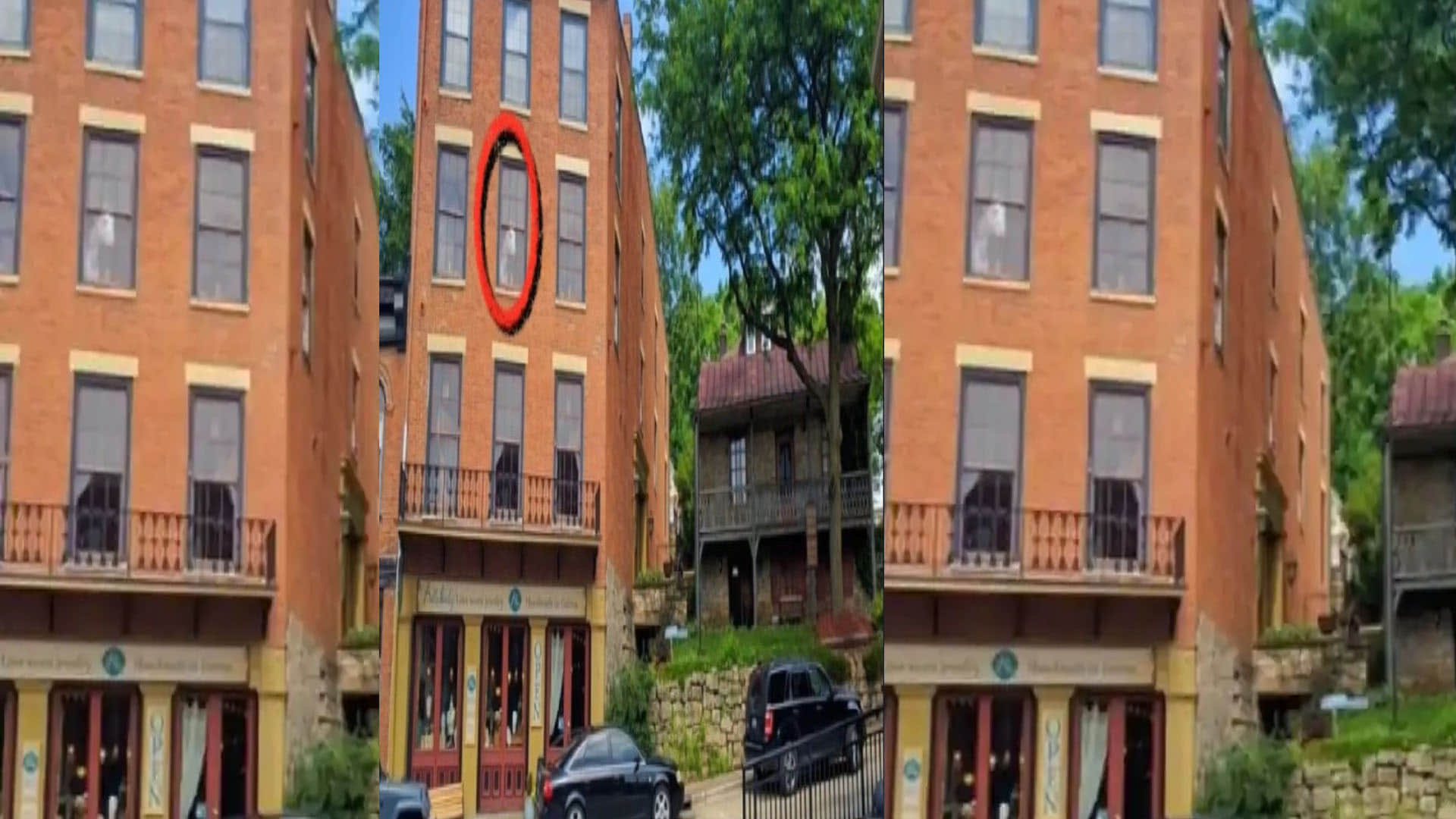 Optical Illusion did you see the horse in this picture brainstorming photo brain teasers hidden animal google trends