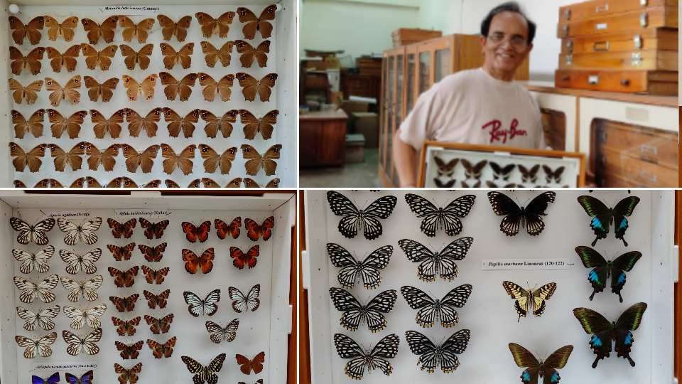 Prof Walia discovered more than 200 species of butterfly and moth in 35 years