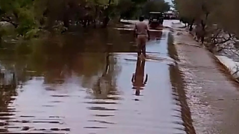 Sheopur: Husband and wife went to the forest to cut wood in Mayapur, drowned in flood water, husband's body was found late at night and wife's body was found in the morning