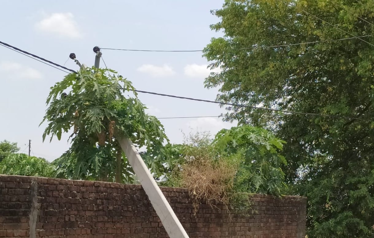 The power of the coastal area was disrupted for 10 hours due to storm and rain