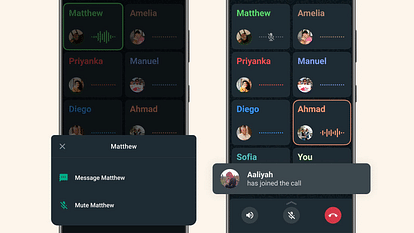 WhatsApp now lets you mute individual users during group calls details here