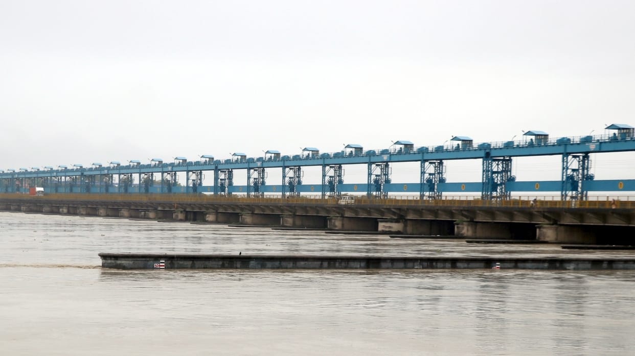 The fish of the pond will save the biodiversity of the Ganges