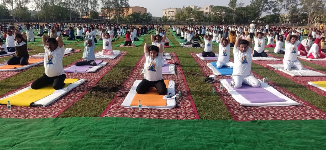 yog,SP,SDM,mla,DM