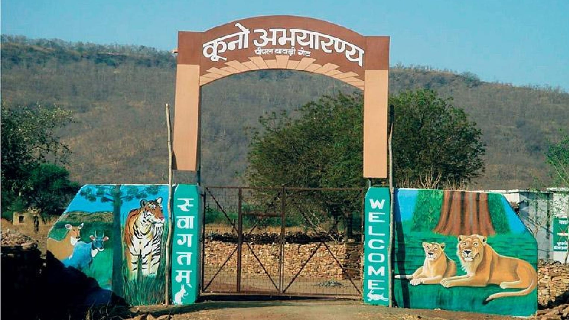 Modi will be the first Prime Minister to reach Sheopur, leopards will give new identity to the district