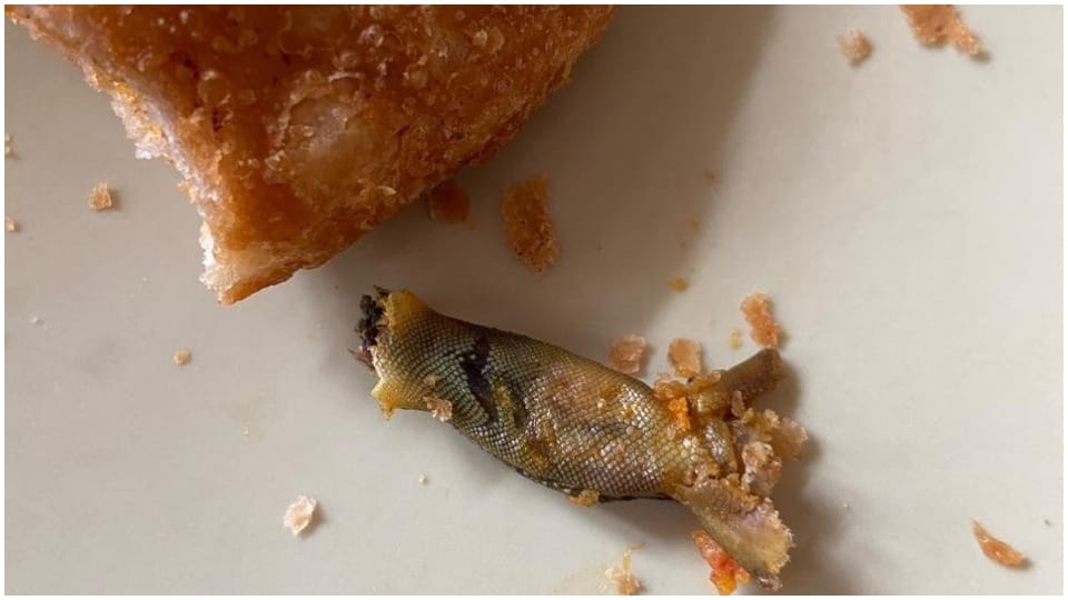 Lizards severed head in Rawat Kachori Jaipur Rajasthan 