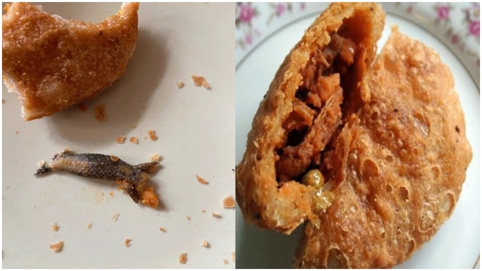 Lizards severed head in Rawat Kachori Jaipur Rajasthan 