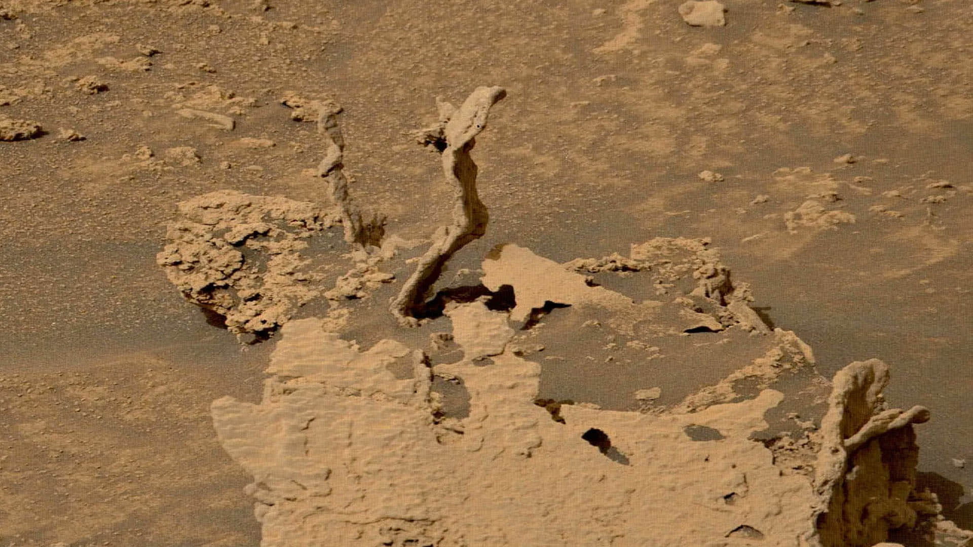 Life on Mars: NASA curiosity rover finds dragon bone-like structure on Mars with bizarre images causing stir
