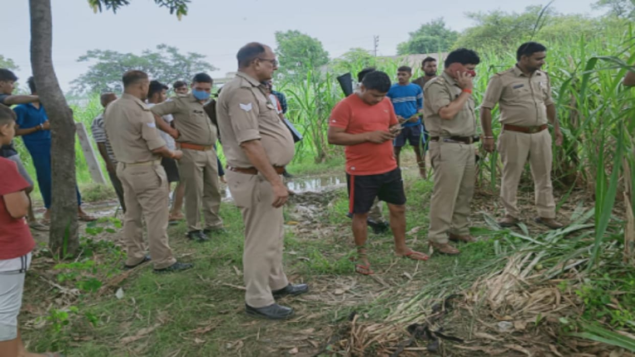 The villagers have ruckus due to the remains of the cow dynasty in Mundali of Meerut