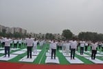 जिलास्तरीय समारोह में योग करते सांसद रमेश कौशिक, उपायुक्त ललित सिवाच व अन्य अधिकारी। संवाद