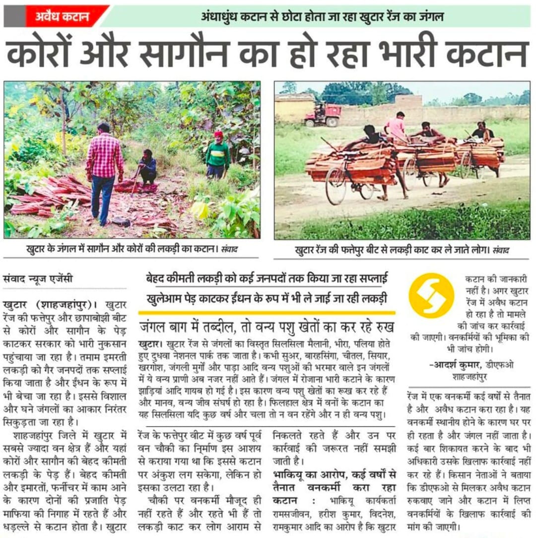 Forest wealth was cut but investigation was not completed