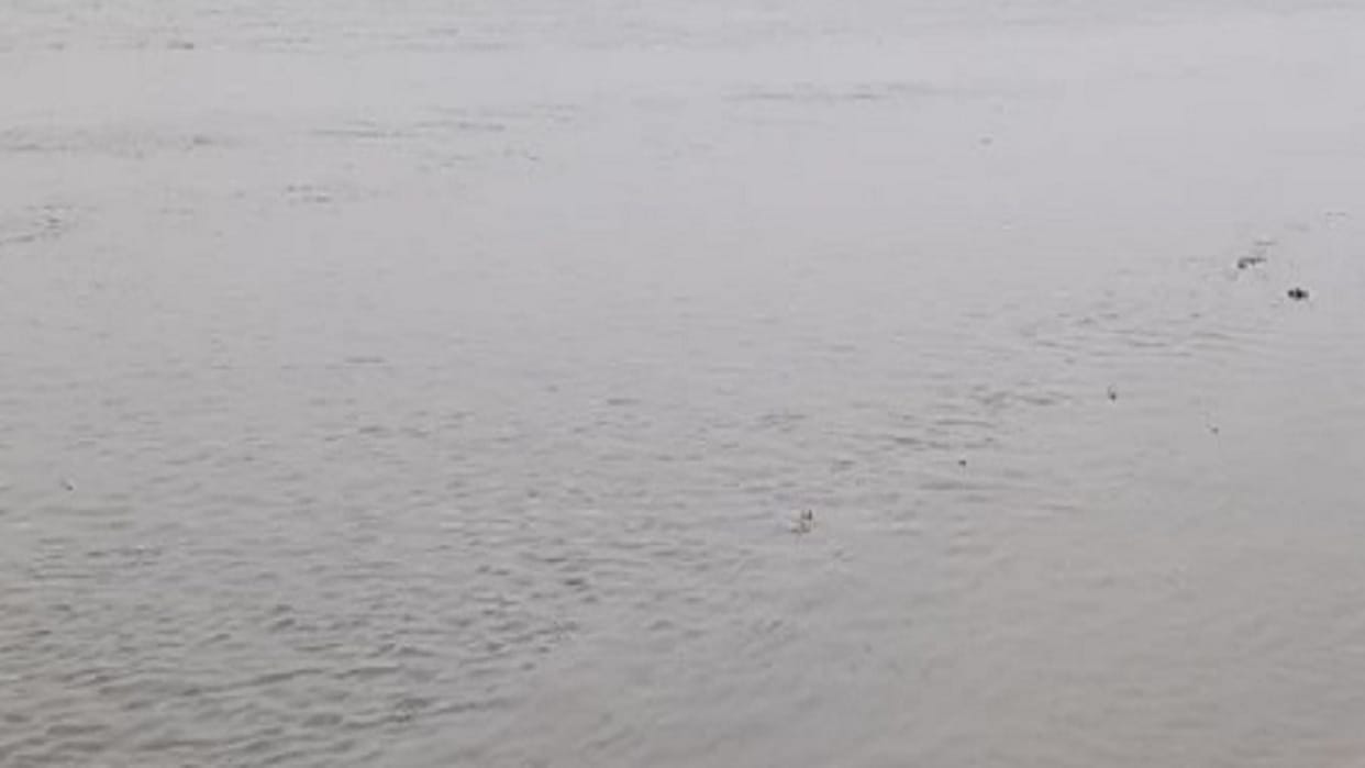 Son has jumped to river after told from father sister and friends on mobile phone
