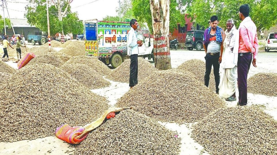 agents strike in protest against traders crops were not sold in Naveen Mandi in Mainpuri