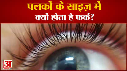 Why is there a difference in the size of the eyelashes?