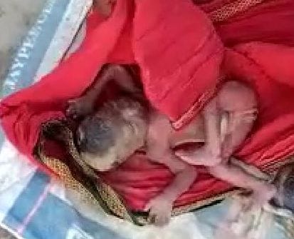 hardoi news,Newborn thrown in the garbage, death