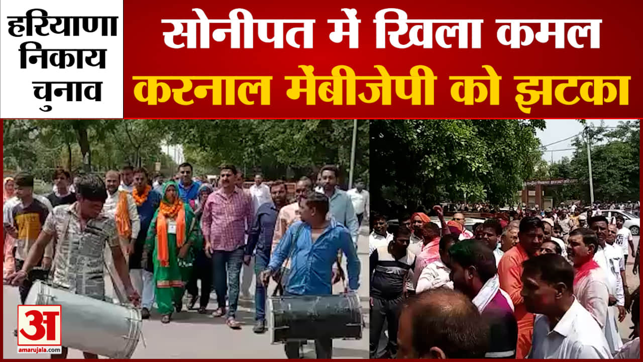 हरियाणा निकाय चुनाव परिणाम