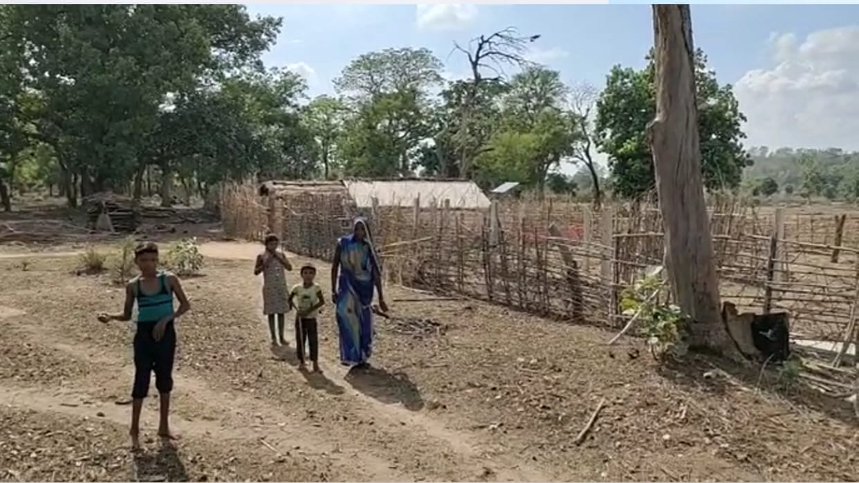 MP News: Villagers troubled by the ravages of wild elephants in Bandhavgarh, spending the night in the forest with the help of fire