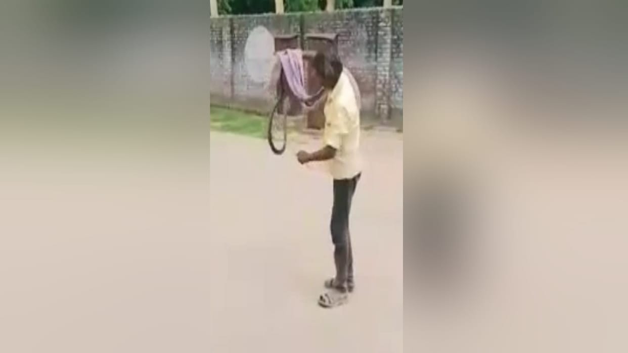 A person died due to snake bite in a village in Shamli