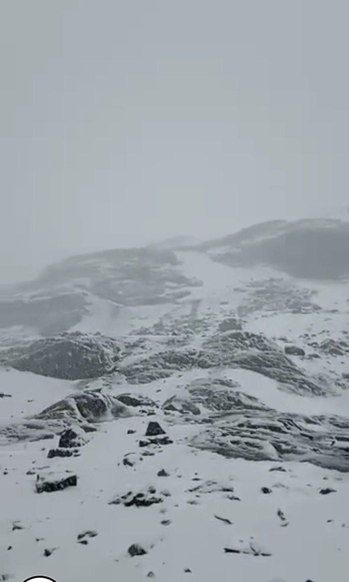 snow fall