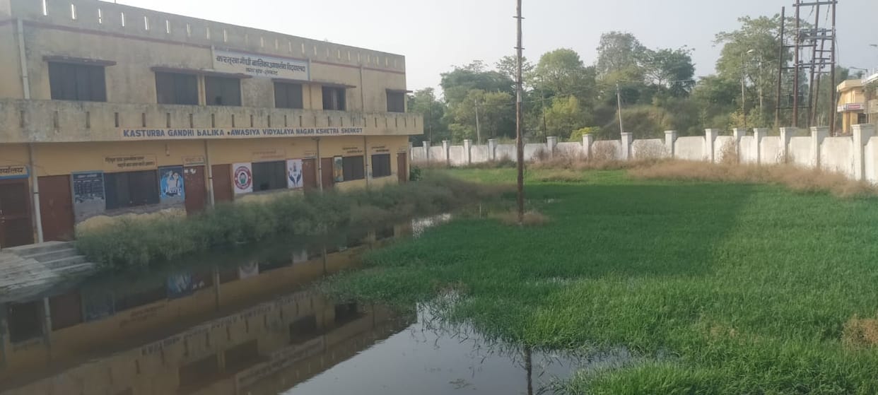 Snakes crawling in residential school premises and rooms