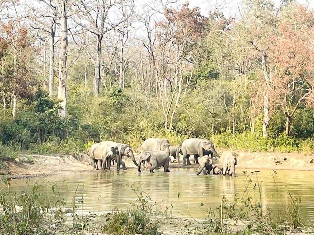 14 guides taking training, will make Amangarh ride